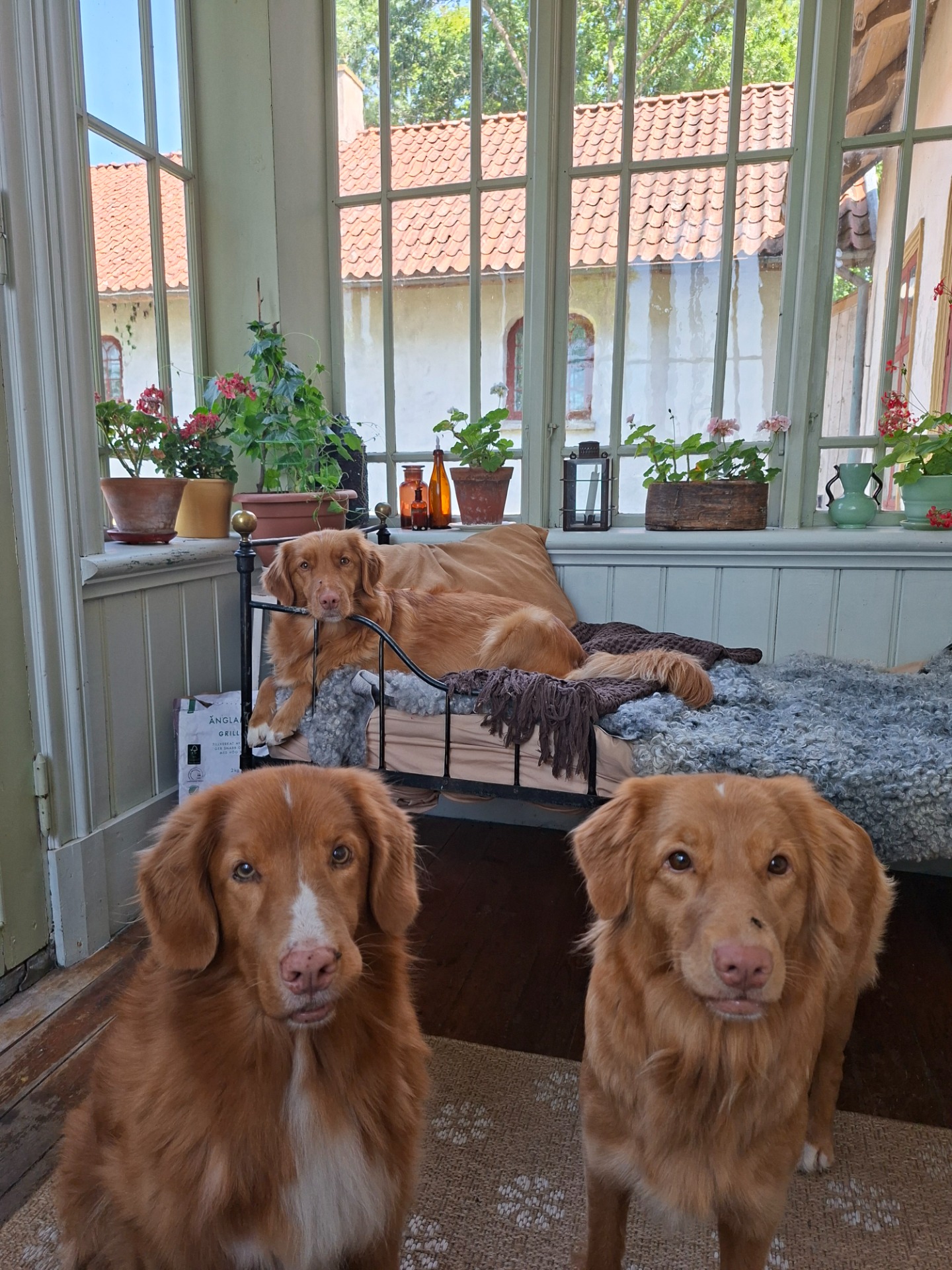 Tuka i sängen, Rocky och Ronja i framkant